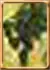 Evil Spirit Y Enhancement Skill