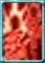 Increased Bleeding Bleeding Debuff Target Count