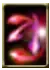 Elemental Charge Mastery