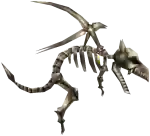Pet Skeleton