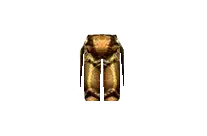 Bronze Pants