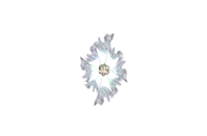 Elven Shield