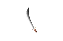 Sword of Assassin