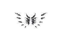 Wings of Darkness