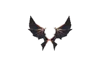 Wings of Dragon