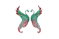 Wings of Illusion