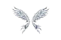 Wings of Soul